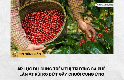 Phân tích hằng ngày (2)