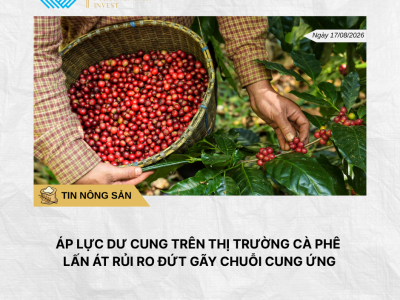Phân tích hằng ngày (2)