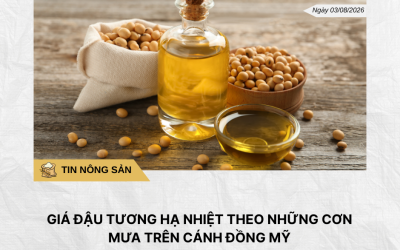 Phân tích hằng ngày (22)