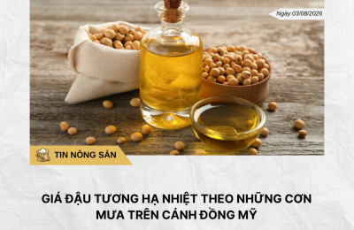 Phân tích hằng ngày (22)