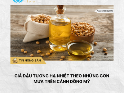 Phân tích hằng ngày (22)