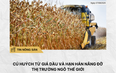 Phân tích hằng ngày (24)