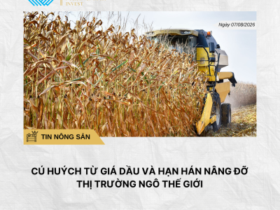 Phân tích hằng ngày (24)