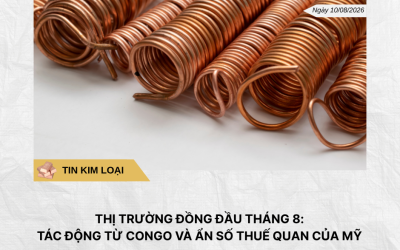 Phân tích hằng ngày (25)