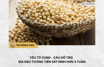 Phân tích hằng ngày