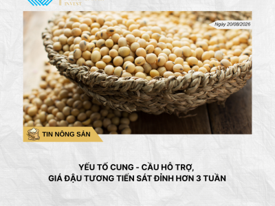 Phân tích hằng ngày