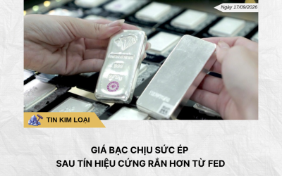 Phân tích hằng ngày (1)