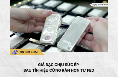 Phân tích hằng ngày (1)