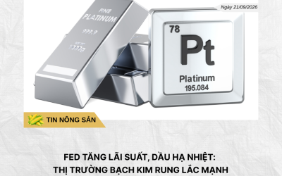 Phân tích hằng ngày (3)