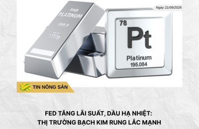 Phân tích hằng ngày (3)