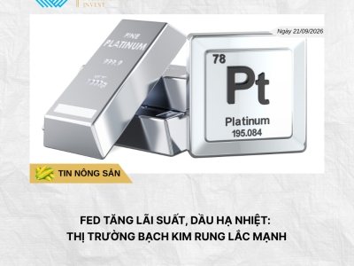 Phân tích hằng ngày (3)