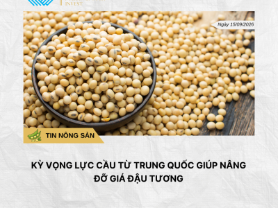 Phân tích hằng ngày
