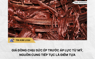 Phân tích hằng ngày