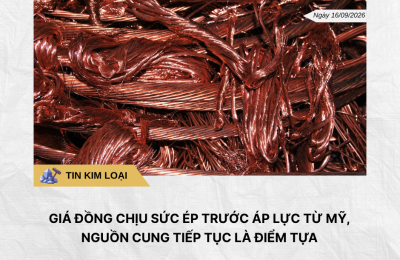 Phân tích hằng ngày