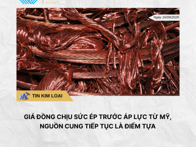 Phân tích hằng ngày