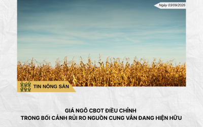 Phân tích hằng ngày