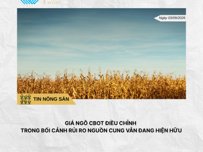Phân tích hằng ngày