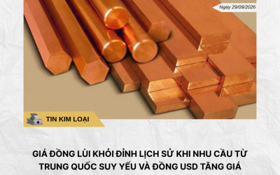 Phân tích hằng ngày
