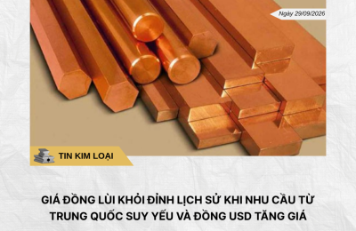 Phân tích hằng ngày