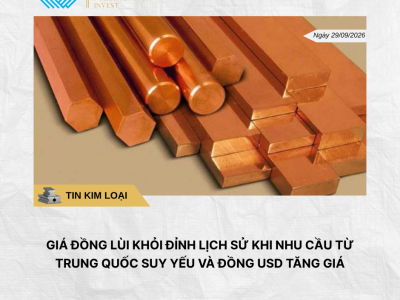 Phân tích hằng ngày