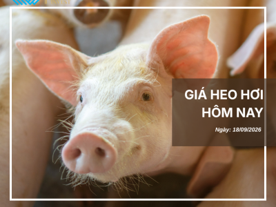 Thị trường thịt heo (1)