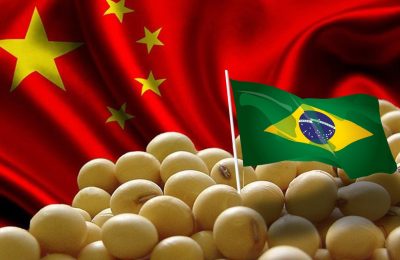 Xuat-khau-dau-tuong-cua-Brazil-chiem-linh-thi-truong-Trung-Quoc